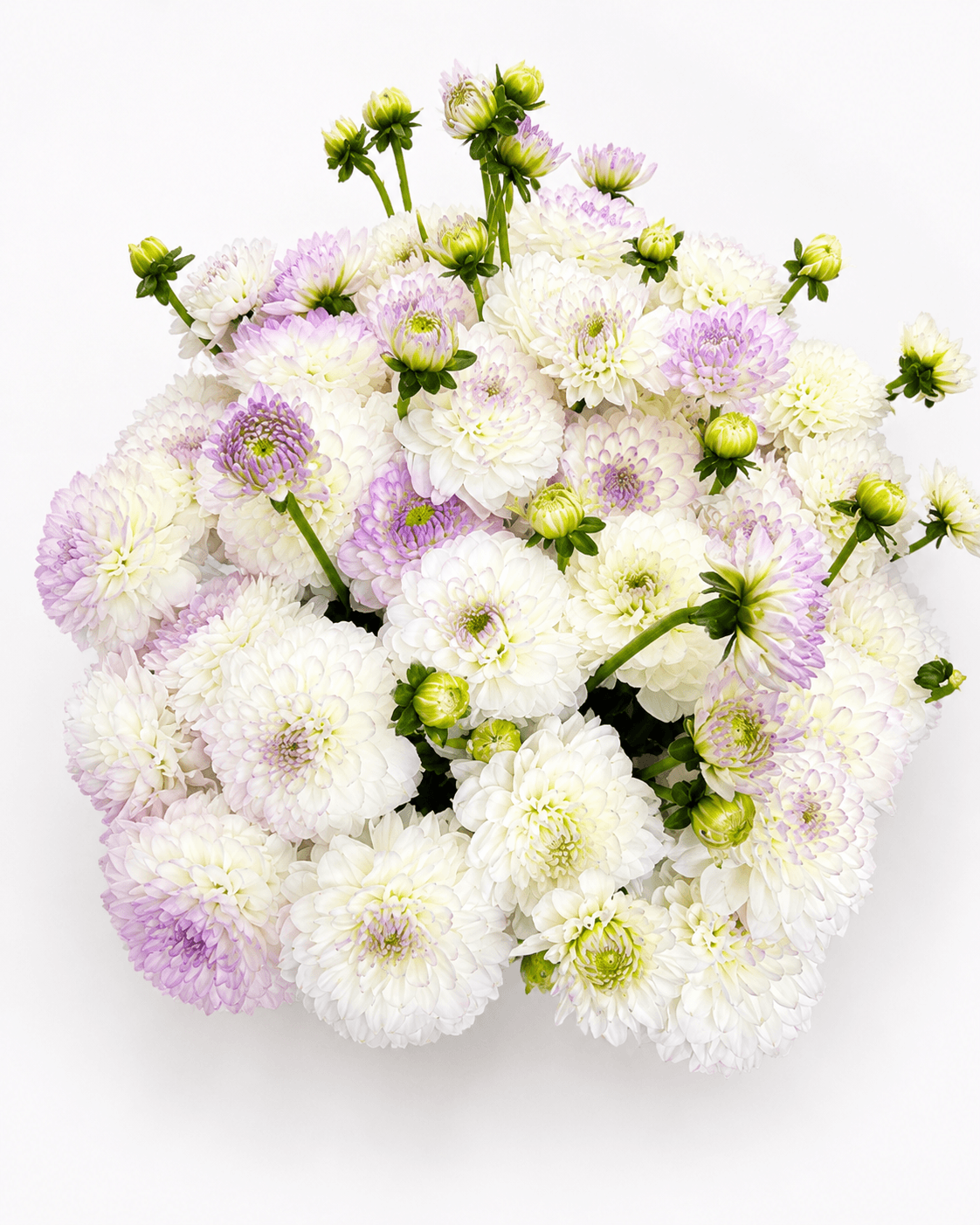 Lavender Morning — handcrafted bouquet by ASA Flowers Boutique